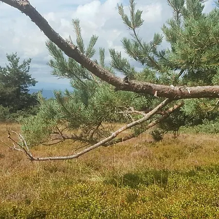 別荘 La Feculerie Grandrif